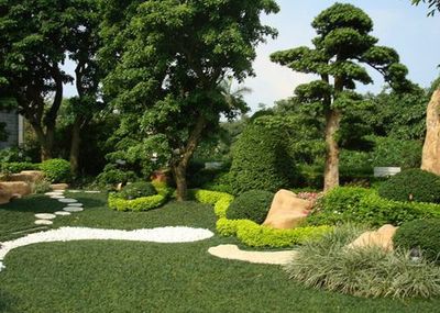 山東綠化苗木價(jià)格_想要品質(zhì)好的山東綠化苗木價(jià)格就來眾邦園林