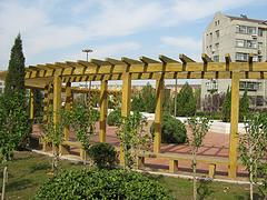 優良的景觀花架哪里有,仿古實木花架